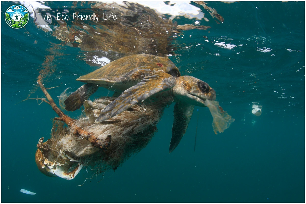 An Image Showing A Sea Turtle Struggling With Plastic Waste