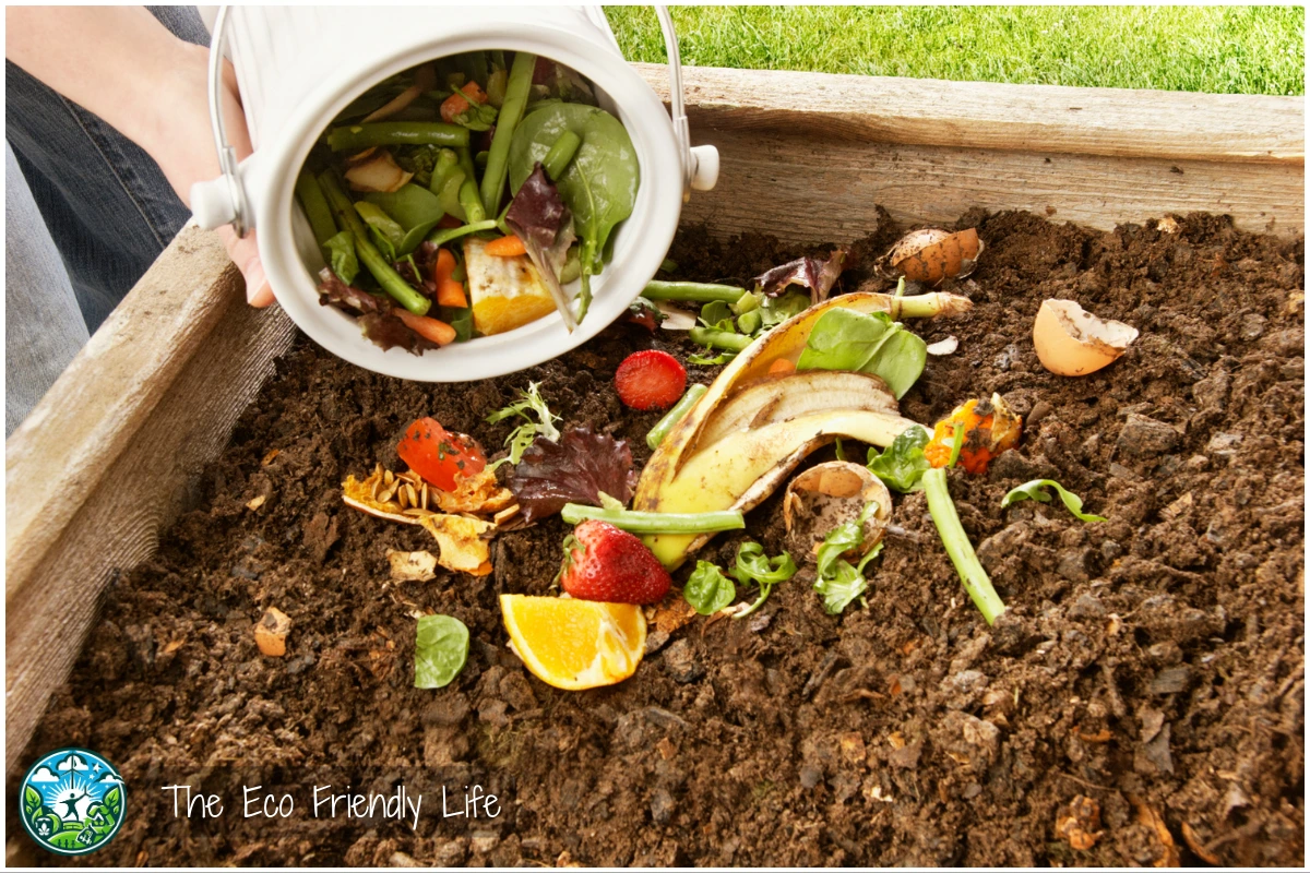 An Image Showing Someone Adding Food Scraps To A Compost Pile