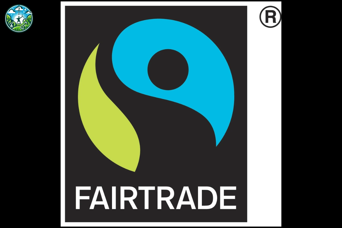 An Image Suggesting To Look For Certifications Like Fair Trade